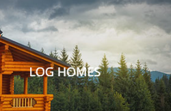 log homes for sale in Michigan